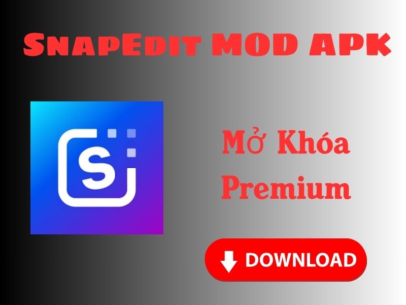 Tải Snapedit Mod APK (Mở Khoá Pro) v7.5.7 SnapEdit Mod APK Có Những Tính Năng Gì Vượt Trội?